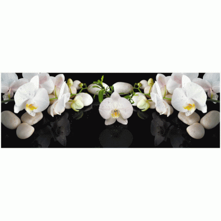 Панель RS Фартук Белая орхидея 2070х695х3мм